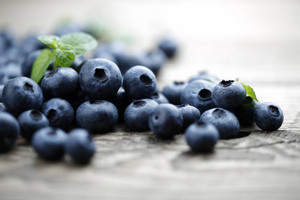 Blueberry-637915886_1258x838-2.jpeg