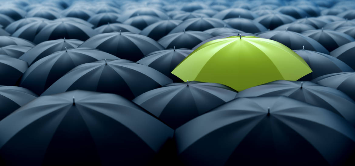 Green-umbrella-471497222_1500x702-1.jpeg