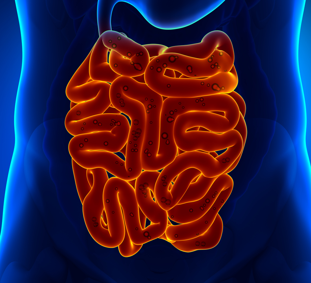 Small-intestine-pain-496194307_1075x977.jpeg