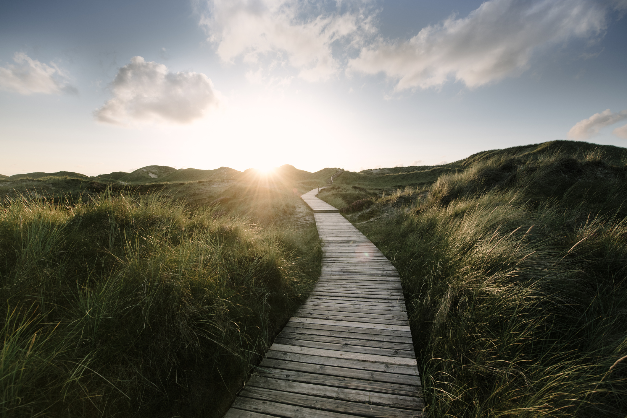 Way-through-the-dunes-838930830_2123x1417.jpeg