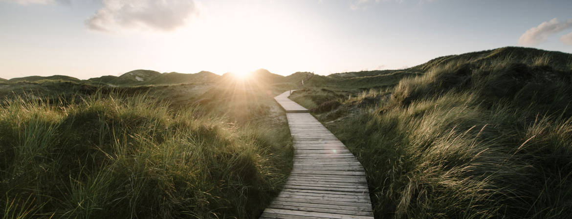 Way-through-the-dunes-1830.jpg